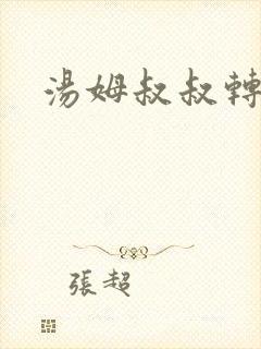 汤姆叔叔转接口