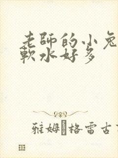 老师的小兔子好软水好多