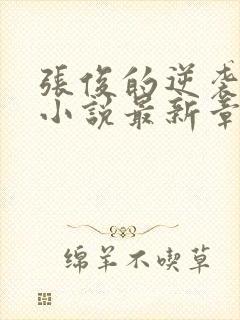 张俊的逆袭之路小说最新章节