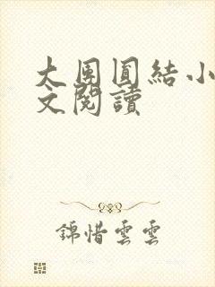 大团圆结小茹全文阅读