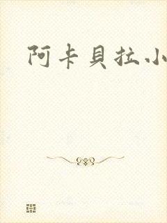 阿卡贝拉小说