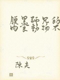 腹黑师兄的日常肉食动物不食草