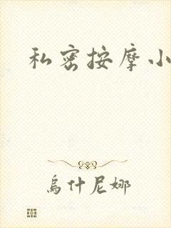私密按摩小说
