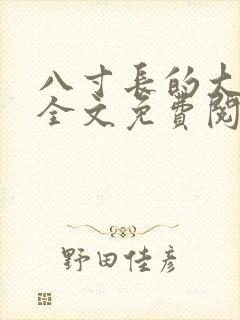 八寸长的大宝贝全文免费阅读