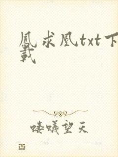 凤求凰txt下载