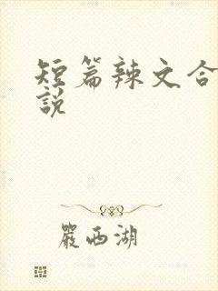 短篇辣文合集小说