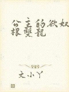 公主的欲奴h四根双龙