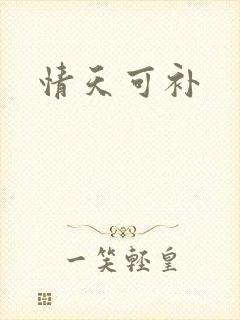 情天可补