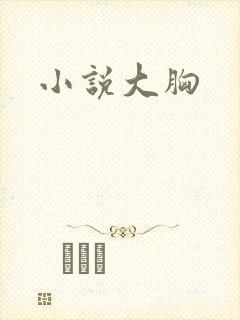 小说大胸