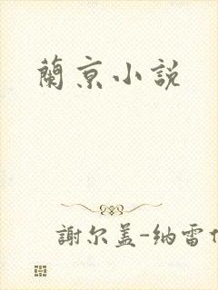 兰京小说