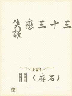 失恋三十三天小说