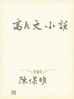 高h文小说
