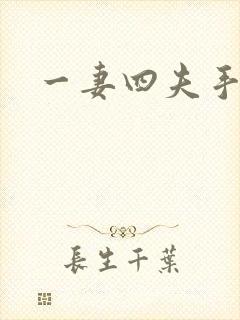 一妻四夫手记
