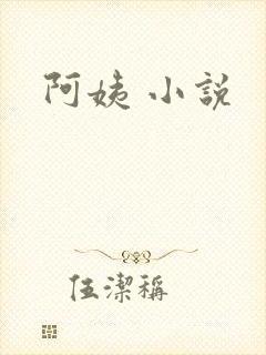 阿姨 小说