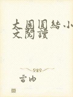 大团圆结小茹全文阅读