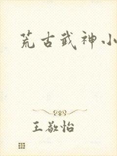 荒古武神小说