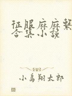 征服麻麻系列大合集小说