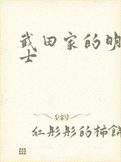 武田家的明国武士