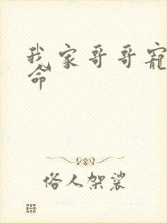 我家哥哥宠妹如命