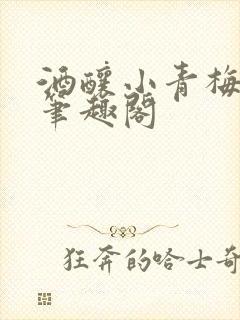 酒酿小青梅po笔趣阁
