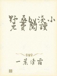 野桑by浅小说免费阅读