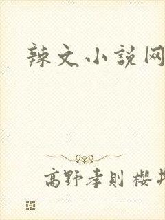 辣文小说网