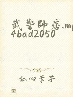 武警帅痞.mp4bad2050