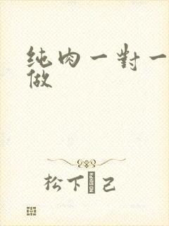 纯肉一对一到处做
