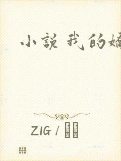 小说 我的娇妻