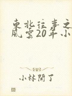 东北往事之黑道风云20年小说