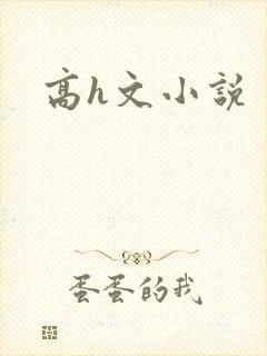 高h文小说