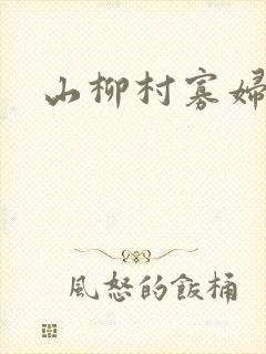 山柳村寡妇情史