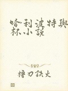 哈利波特与火焰杯小说