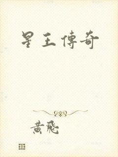 星王传奇