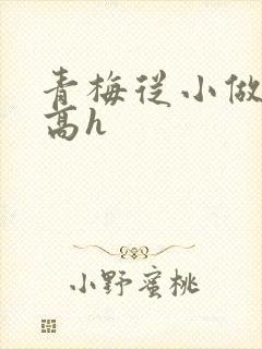 青梅从小做到大高h