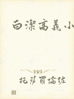 白洁高义小说