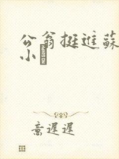 公翁挺进苏玥的小泬