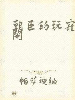 朝臣的玩宠笔趣阁