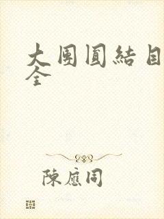 大团圆结目录大全