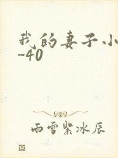 我的妻子小谨1-40