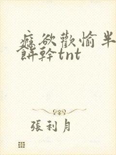 瘾欲欢愉半块小饼干tnt