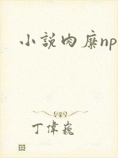 小说肉糜np