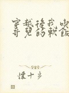 穿越后我吃到了哥儿的软饭炉山灰