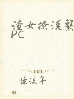 渣女撩汉系统NPC