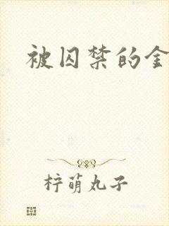 被囚禁的金丝雀