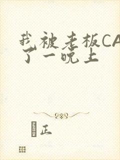 我被老板CAO了一晚上