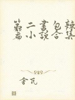 第二书包辣网短篇小说合集