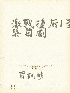 激战后厨1至5集日剧