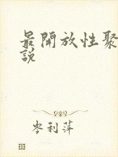 最开放性聚会小说