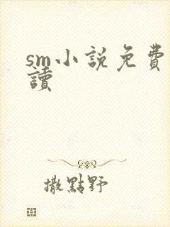 sm小说免费阅读